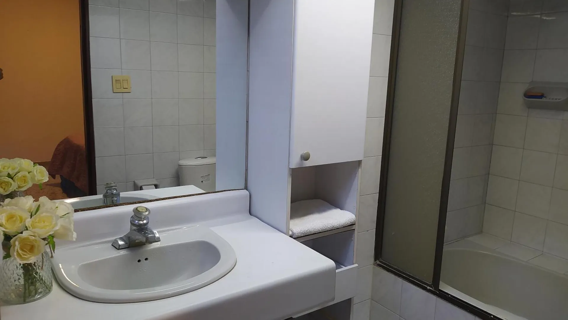 The Flora House - Espacio Seguro, Amplio Y Acogedor Apartment Medellin Homestay