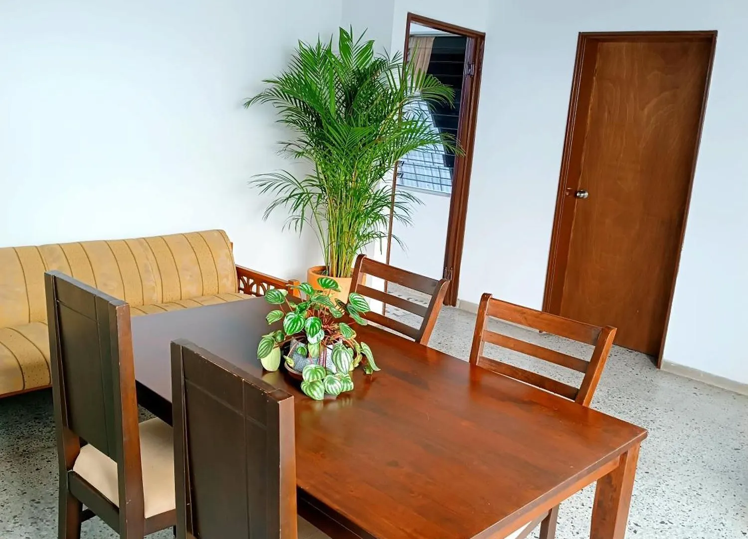 The Flora House - Espacio Seguro, Amplio Y Acogedor Apartment Medellin Homestay